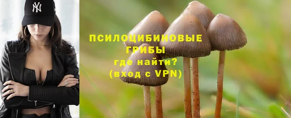 спайс Алзамай